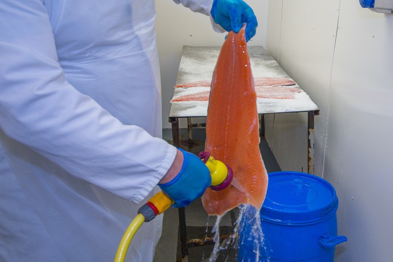 rinsing the salmon